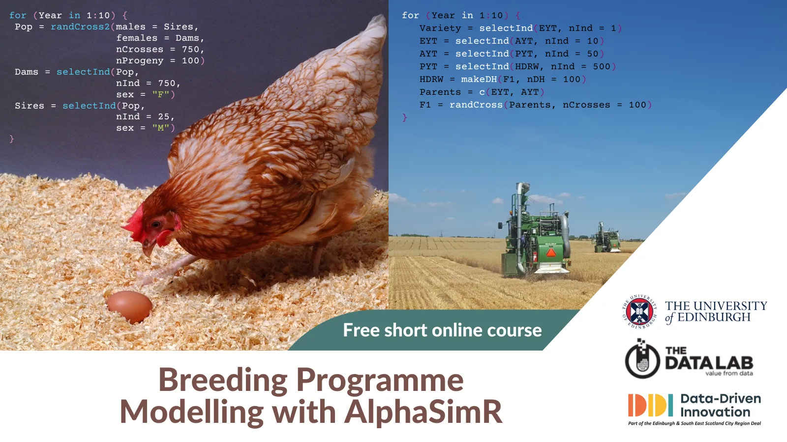 Breeding programme modelling with AlphaSimR - free massive on-line and on-demand course (MOOC) on edX (plant photo provided by Alf Ceplitis)
