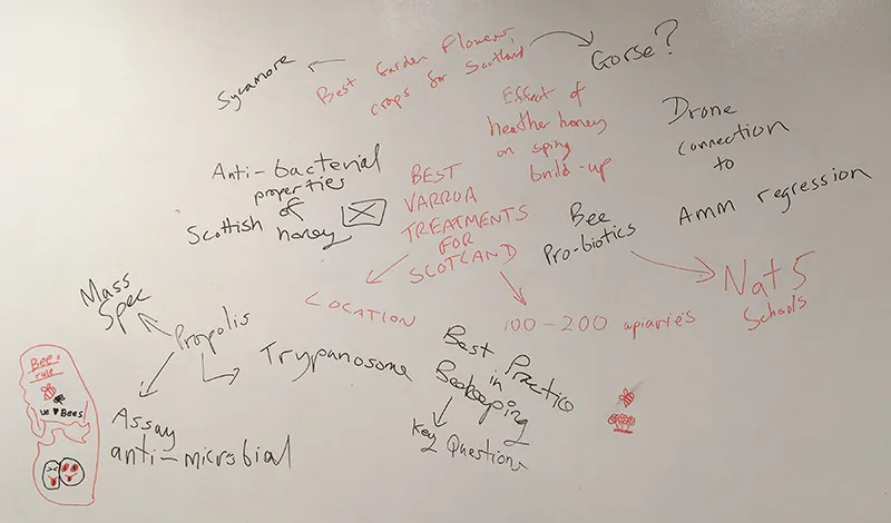 Whiteboard with bee-related writing on it.