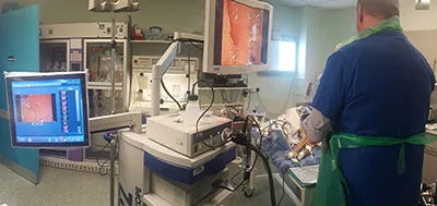 Several screens allow best visibility for examiners and students during endoscopy.
