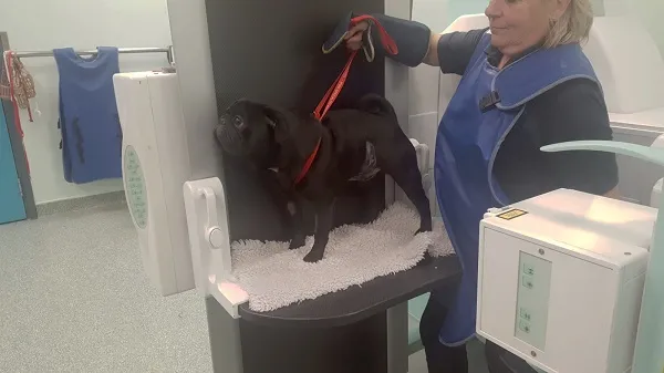 flouroscopy - digest