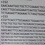 genome sequencing