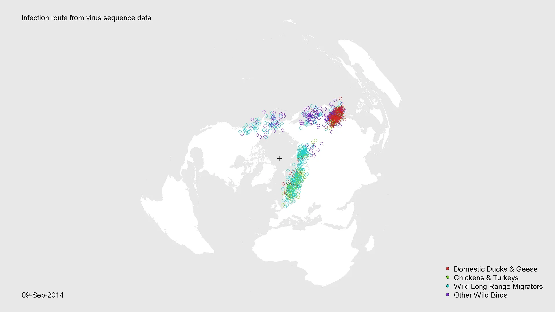 Infection route from virus sequence data