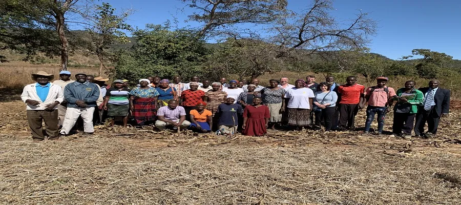 Image of in-country partners in Zimbabwe working with Global Acdemy staff.
