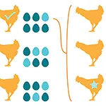 A diagram of chicken and egg health