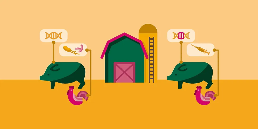 ISP Graphics Disease in Farming