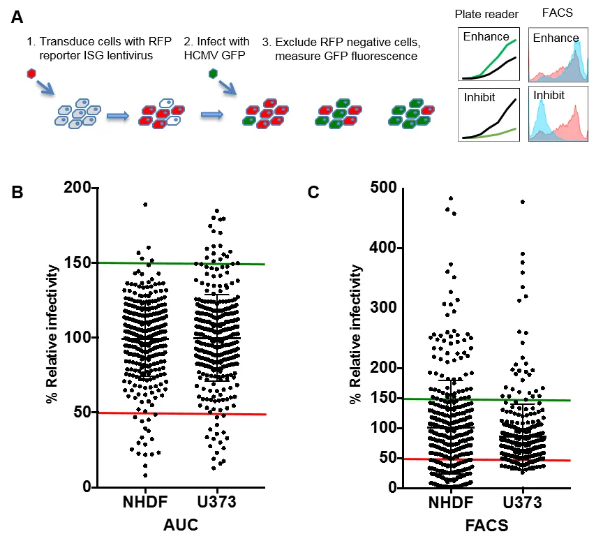 A schematic and the readouts of an ISG screen