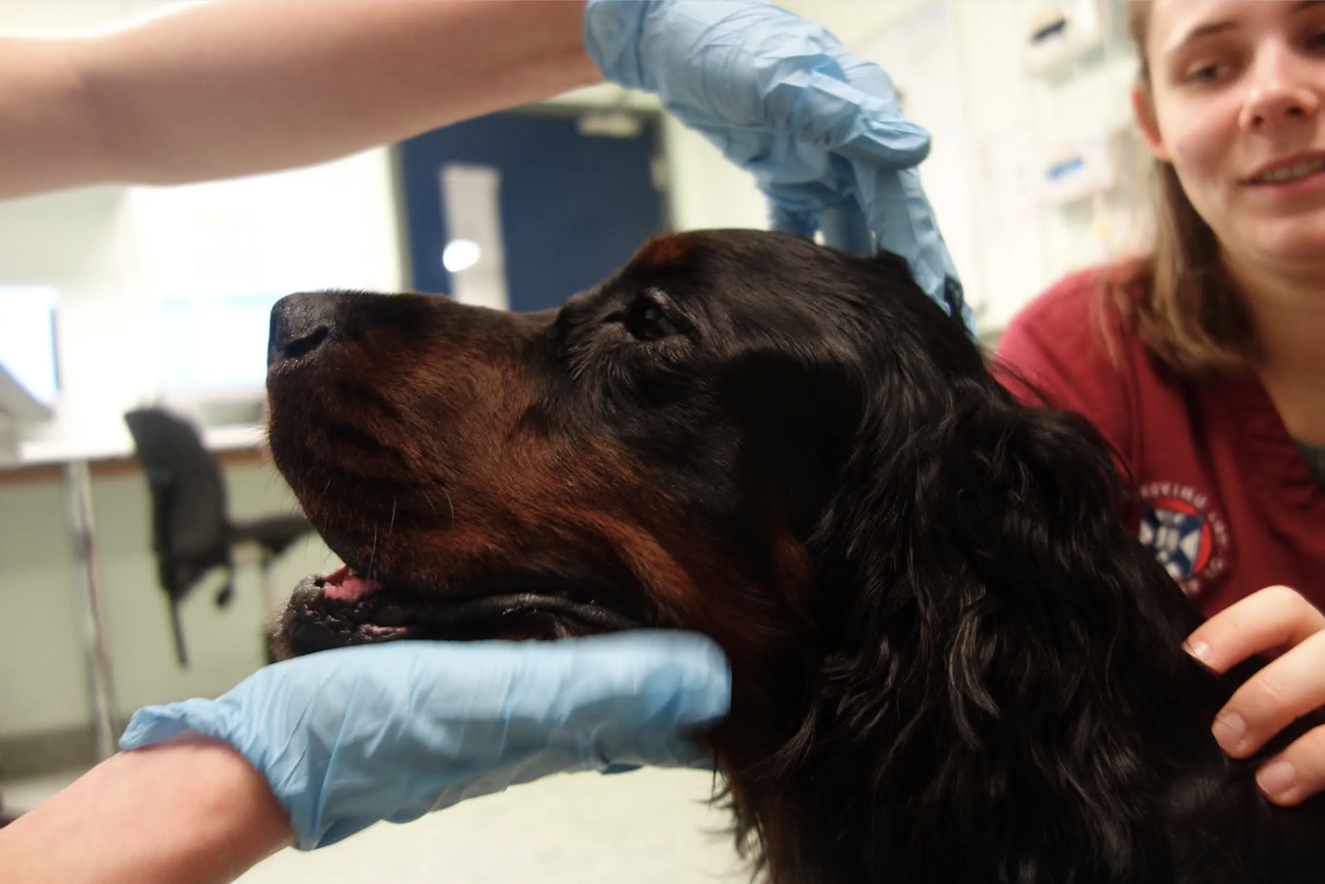 Ralph was successfully treated for a tumour.