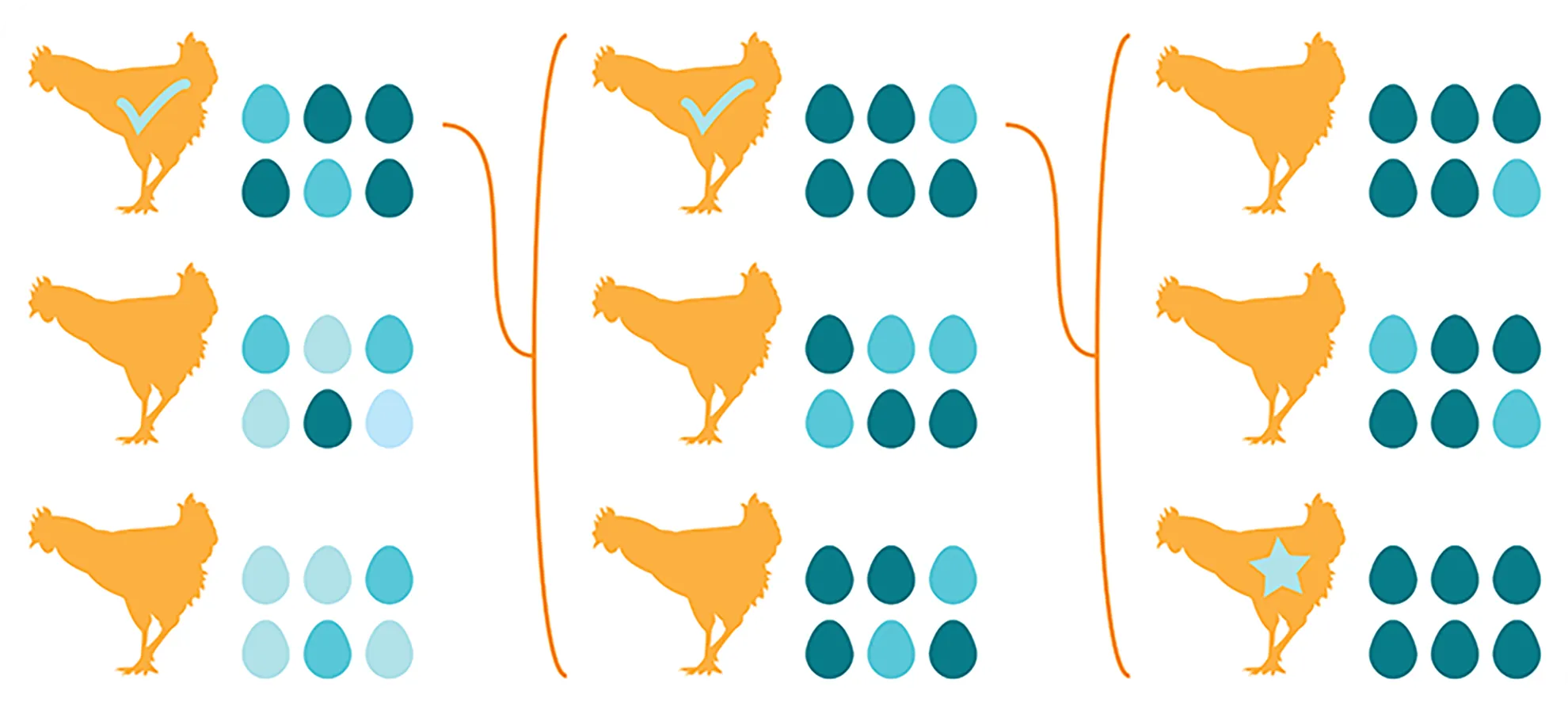Selective breeding diagram