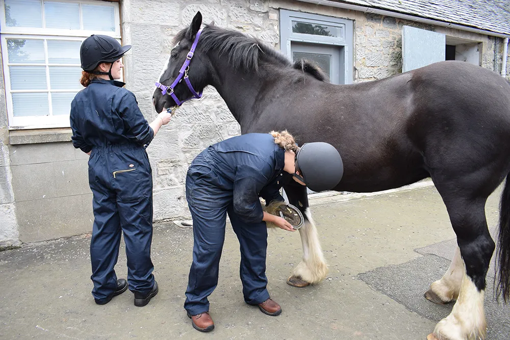 Students with horses
