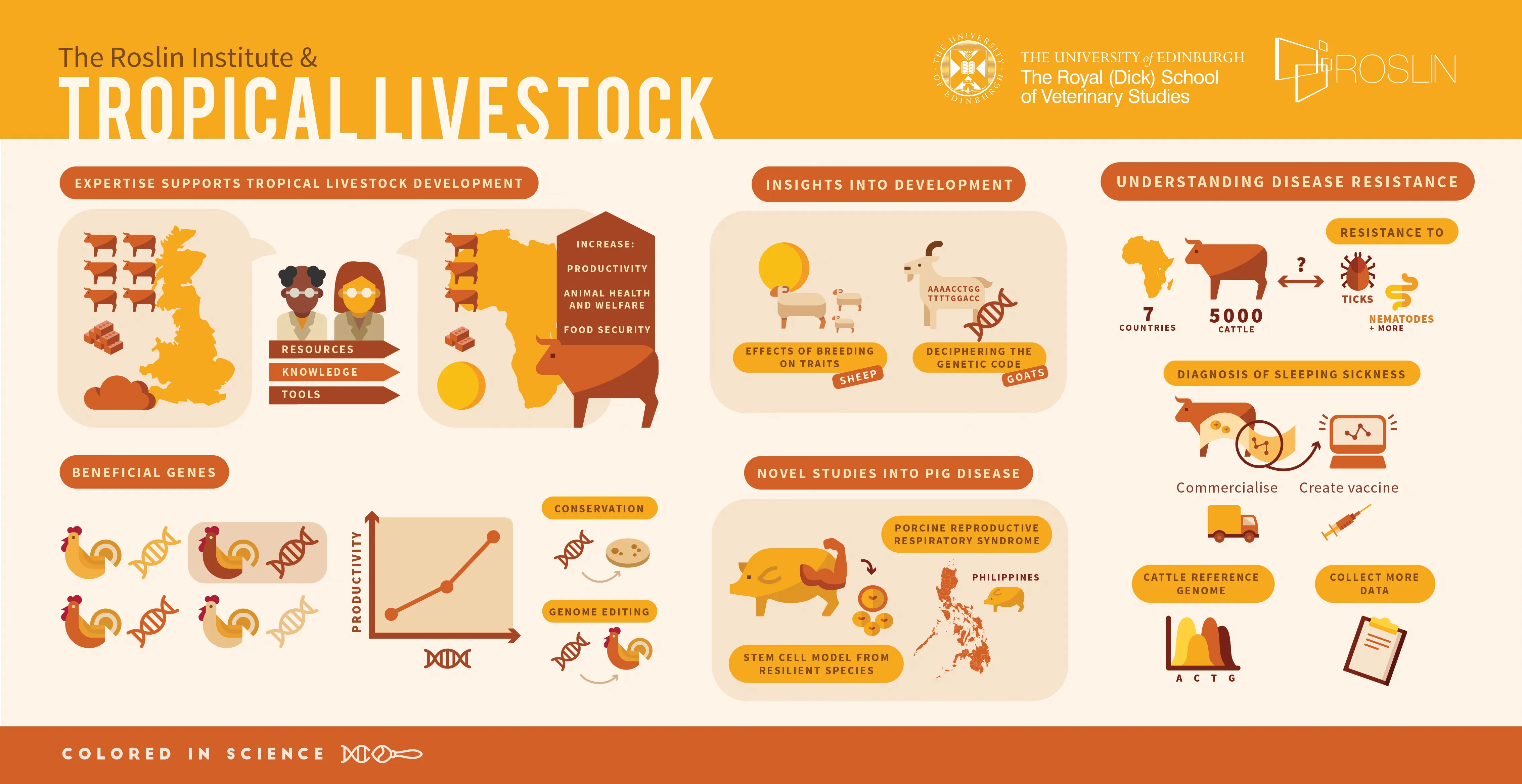 Tropical Liver Stock