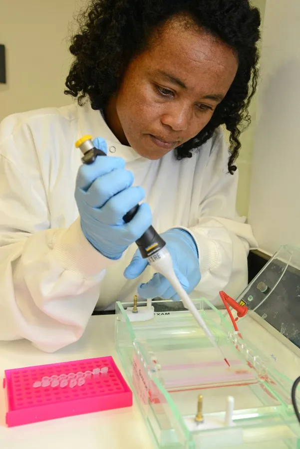 Wude Tsega in the lab at Roslin