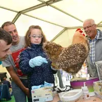 Royal Highland show 2017