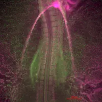 Davey Lab image