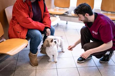 A vet kneels to greet a canine patient at the HfSA waiting room