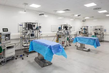 Three beds surrounded by anaeasthesia and monitoring equipment in surgical facility for large animals.