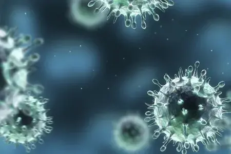 Influenza virus