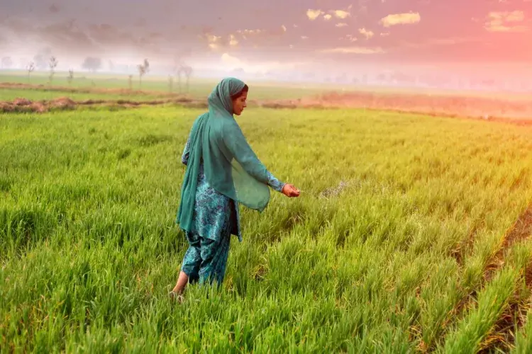 Women key to crop success in low-income countries