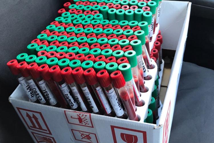test tubes in a box