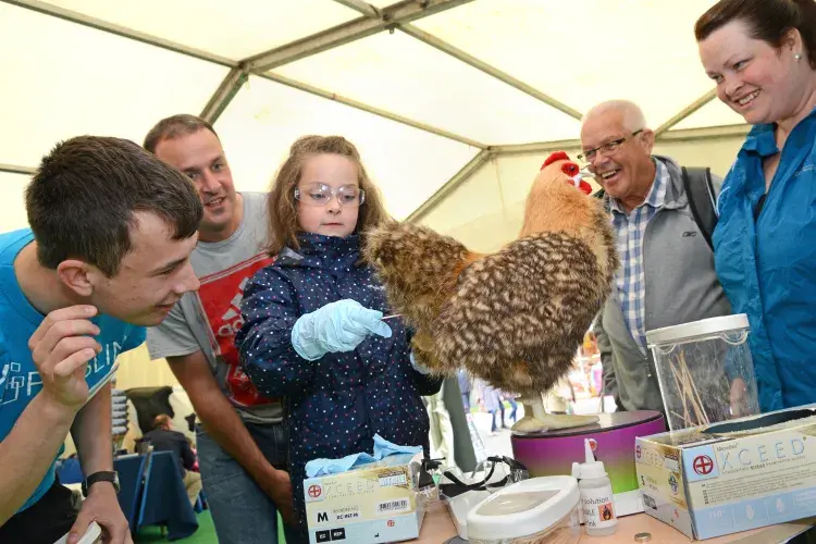 Royal Highland show 2017