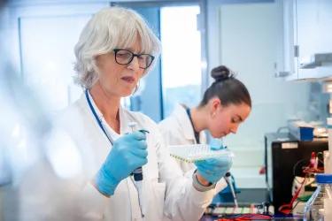 Scientists work at a lab bench in the Roslin Institute