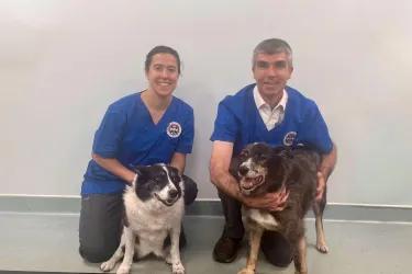 Dr Cristina Bianchi (left) and Prof Dylan Clemens (right) pose with two canine patients. The background is a plain white wall