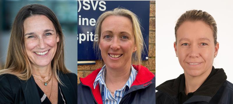 Professor Lisa Boden, Dr Sarah Taylor and Dr Sarah Taylor.