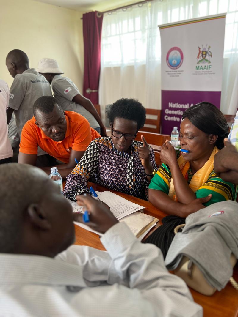 African fish farmers in a room