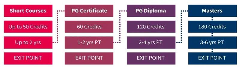 Programme structure diagram