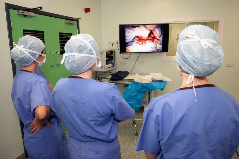 A team of surgeons an operation taking place