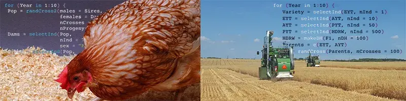 Banner image showing two photos side-by-side, on the left is a close-up of a brown chicken feeding, on the right is a wide shot of harvest machines cutting crops. Overlayed on both sides of the image is programming code.