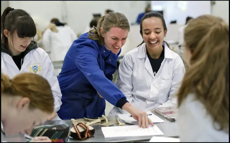 Veterinary students learn radiography.