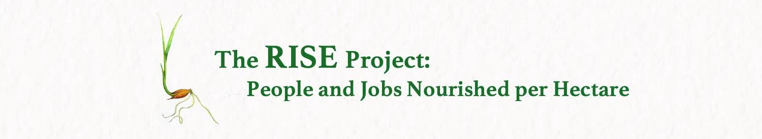 RISE Banner