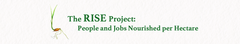 RISE Banner