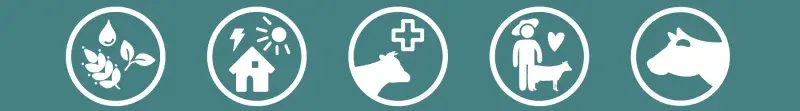 5 domains cow icon