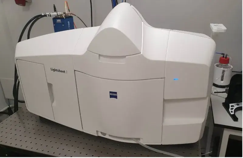 Zeiss Lightsheet 7