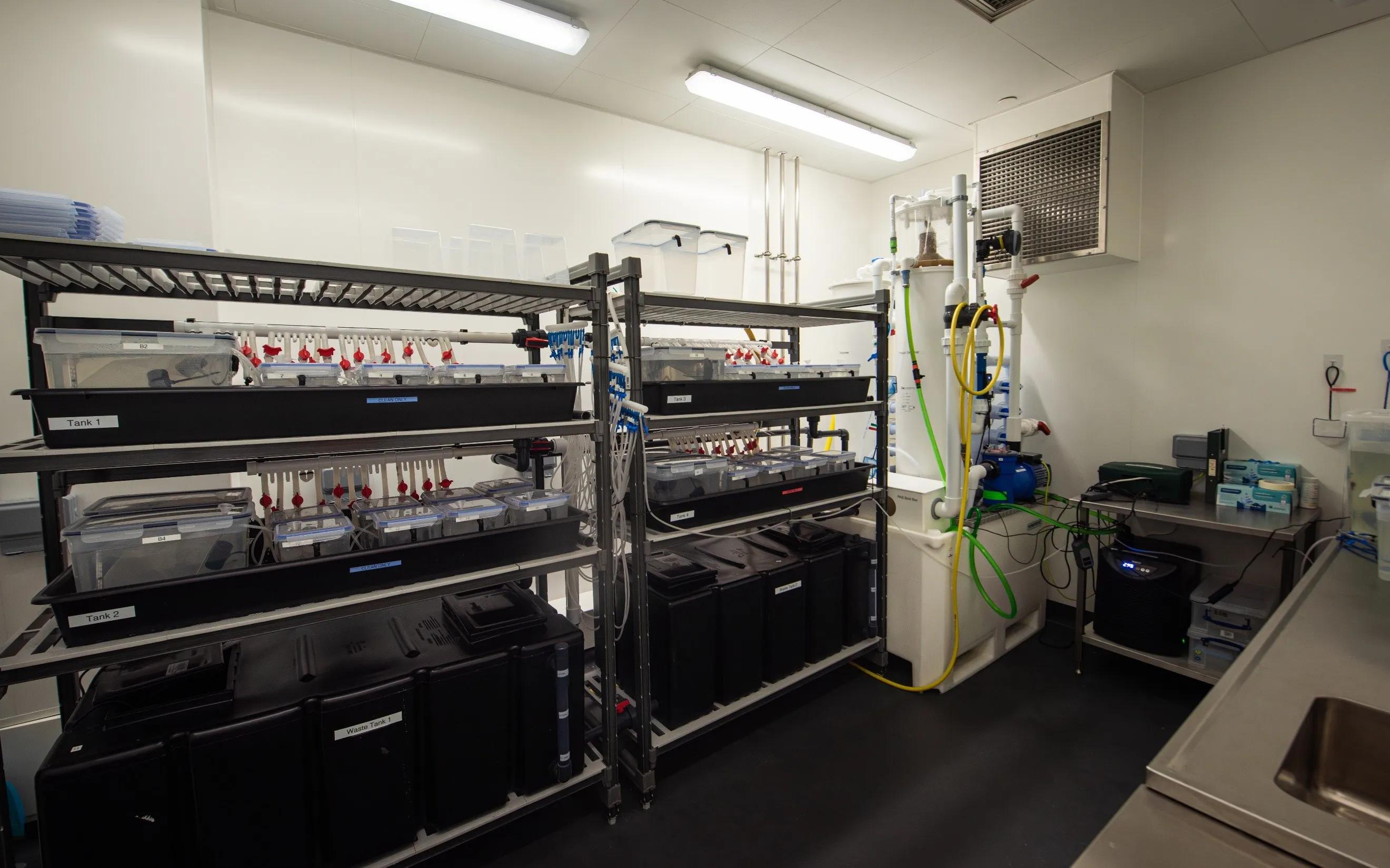 The AIS aquarium system