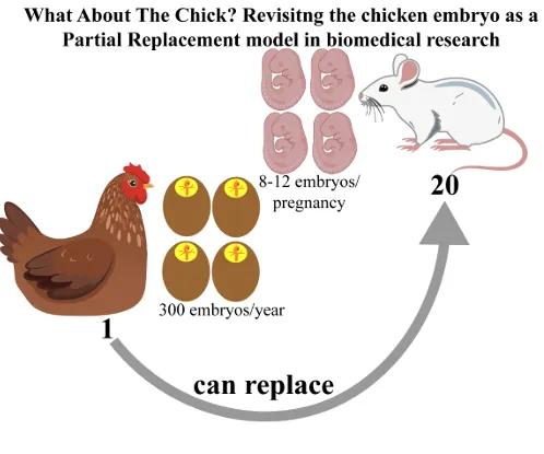 Davey Lab Image