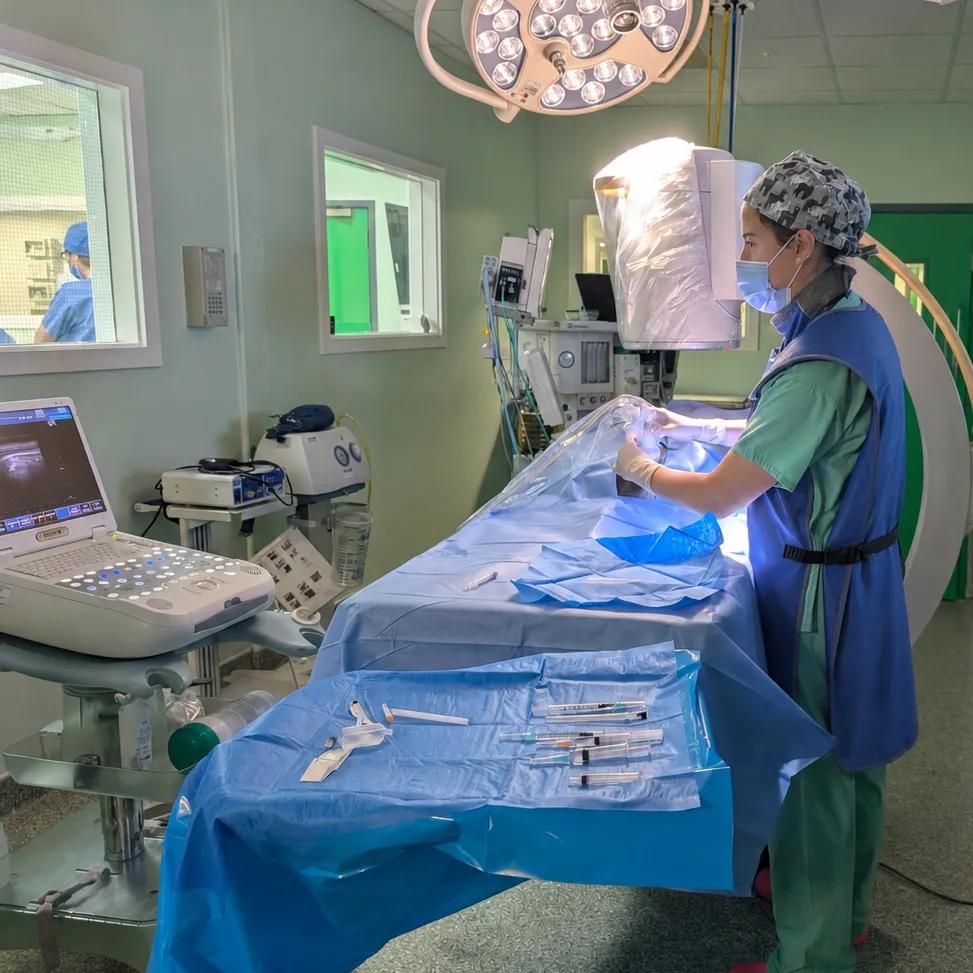vet in operating theatre looking at a monitor to help guide a needle into a dogs spine
