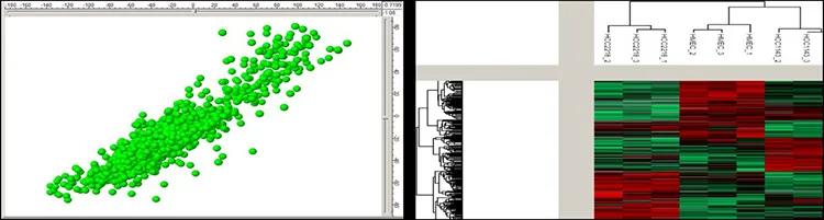 Graphical representation of a proteomics data as scatterplot and heat map.