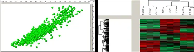 Graphical representation of a proteomics data as scatterplot and heat map.