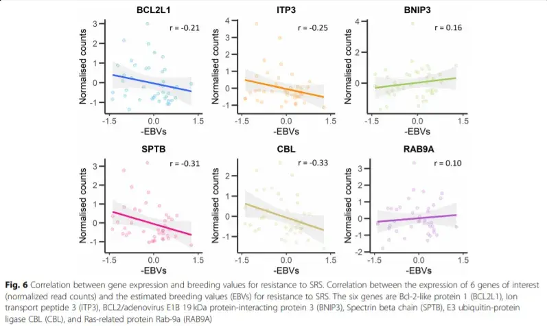 This graphic from BMC Genomics' article based on Carolina's work shows correlation between gene expression and breeding values.