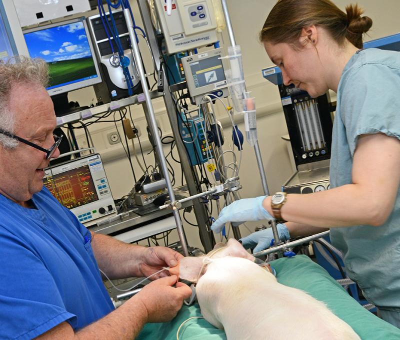 Anaesthesia at LARIF