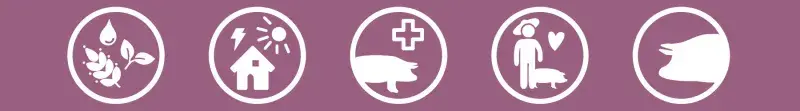 pigs - 5 domains