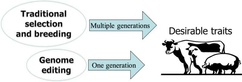 multiplex editing