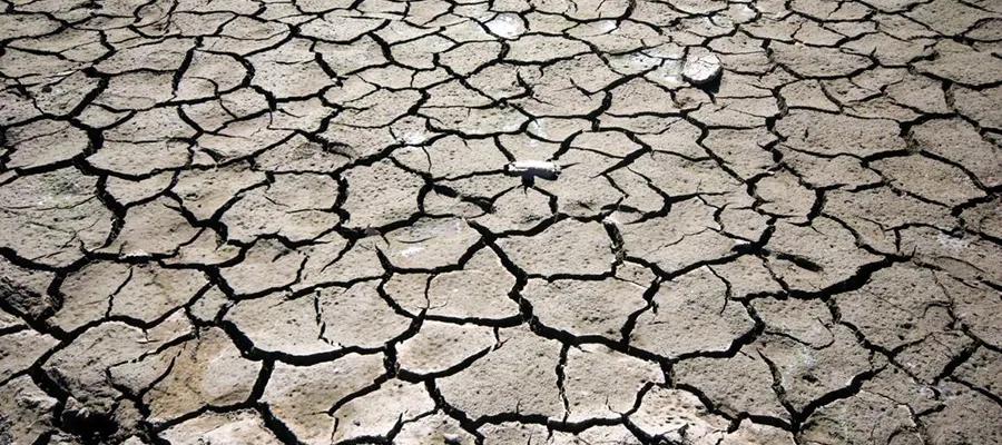 cracked, dry mud