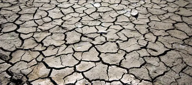cracked, dry mud