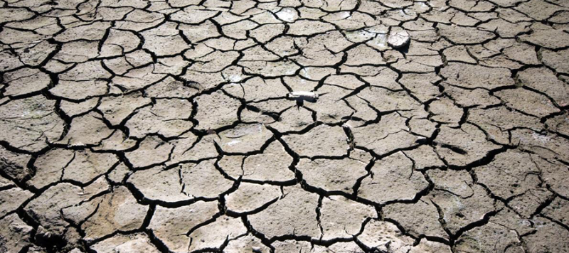 cracked, dry mud
