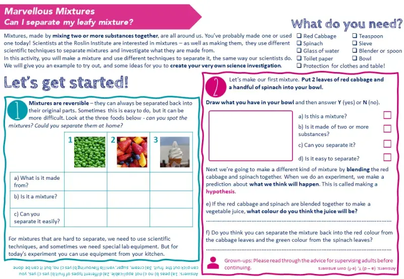 Screenshot of page 1 of the investigation booklet