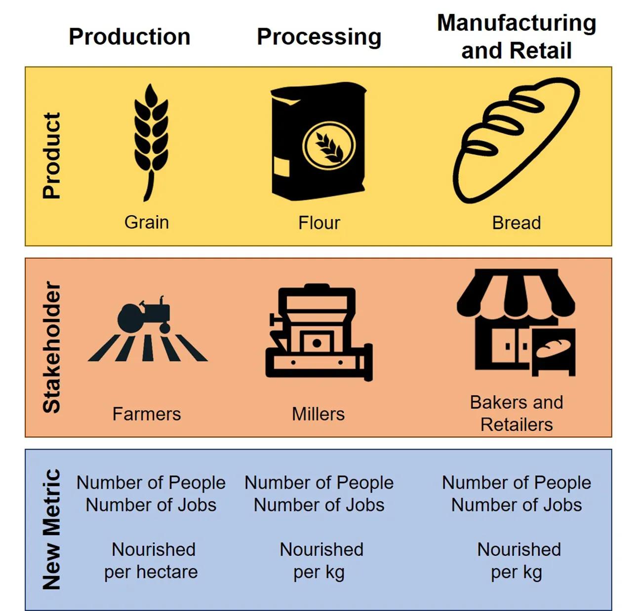 RISE conceptual framework