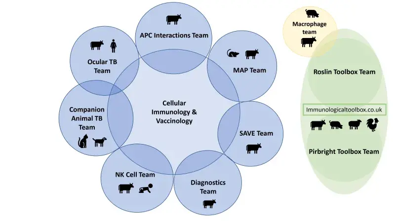 CIVG Team Diagram